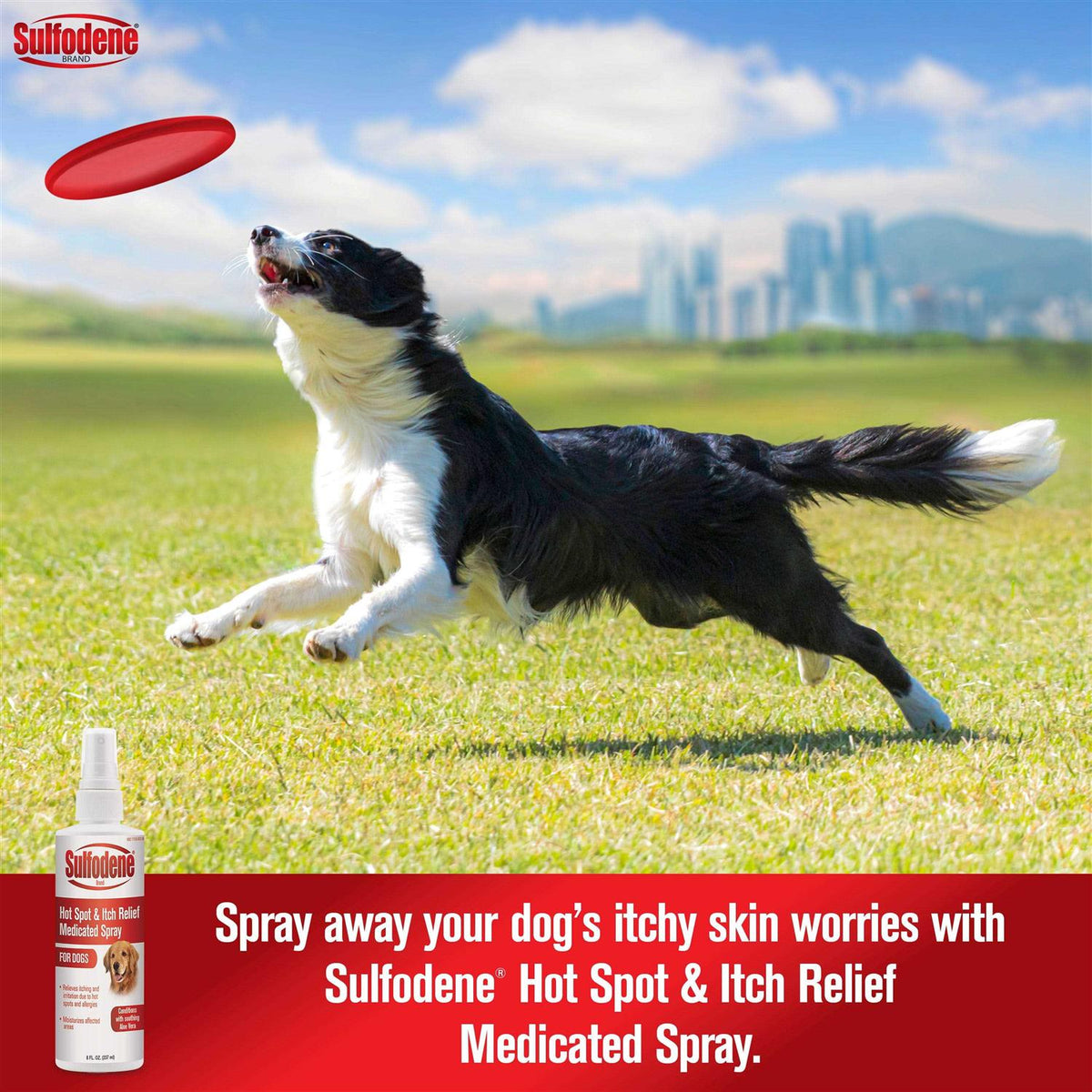 Medicated Itch Relief Spray C5946
