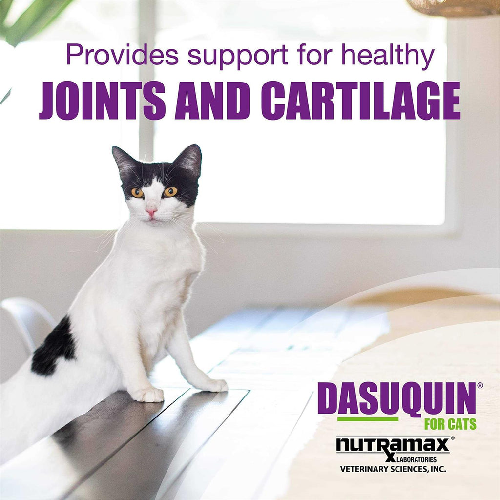 Joint Health Supplement for Cats O915295
