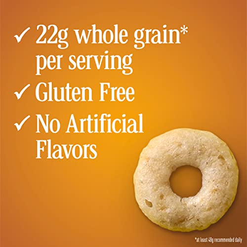 Gluten Free Whole Grain Oats Cereal, 32 oz E9938