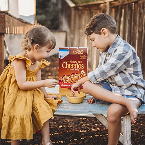 Gluten Free Whole Grain Oats Cereal, 32 oz E9938