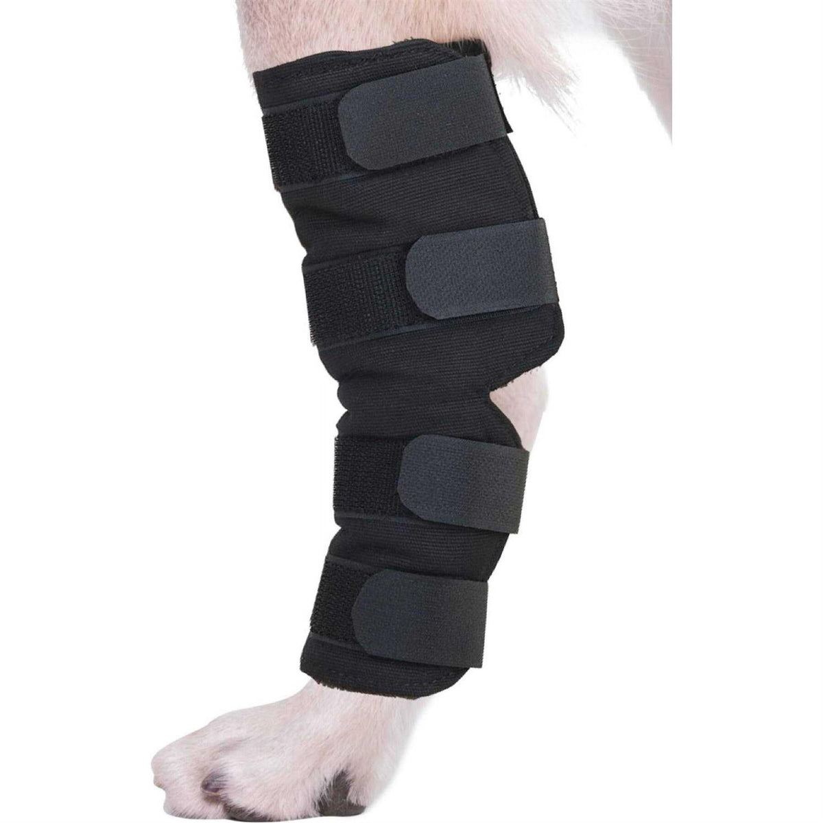 Dog Hock Brace Rear Leg Joint Wrap I17013