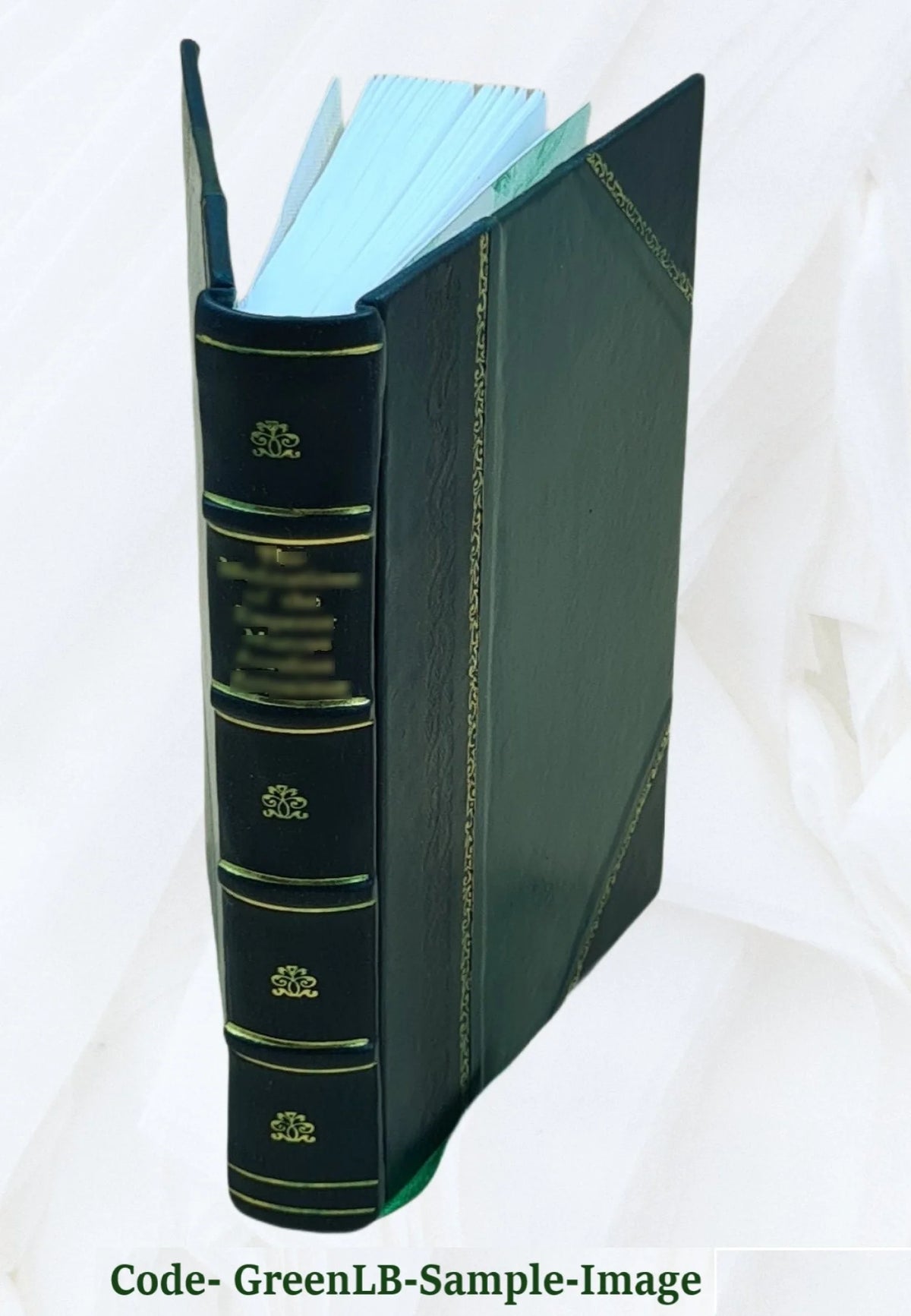 Leather Bound Book I4229