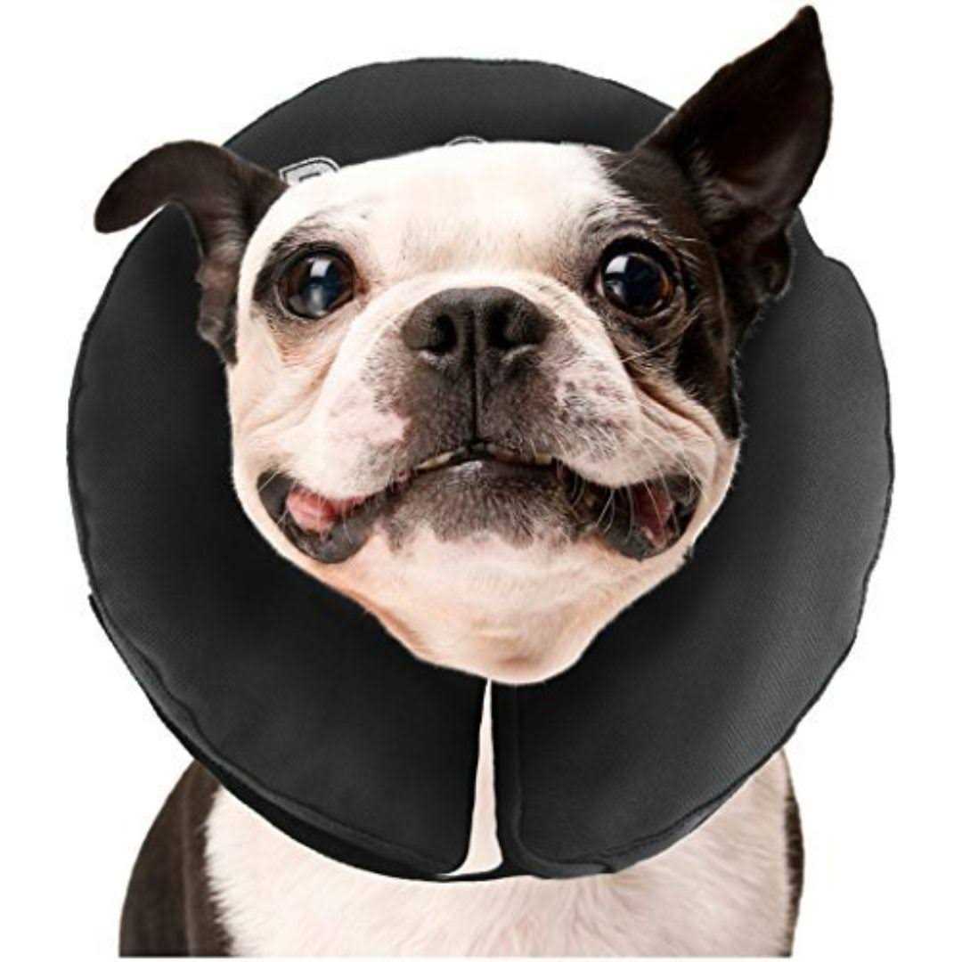Inflatable Recovery Collar N448