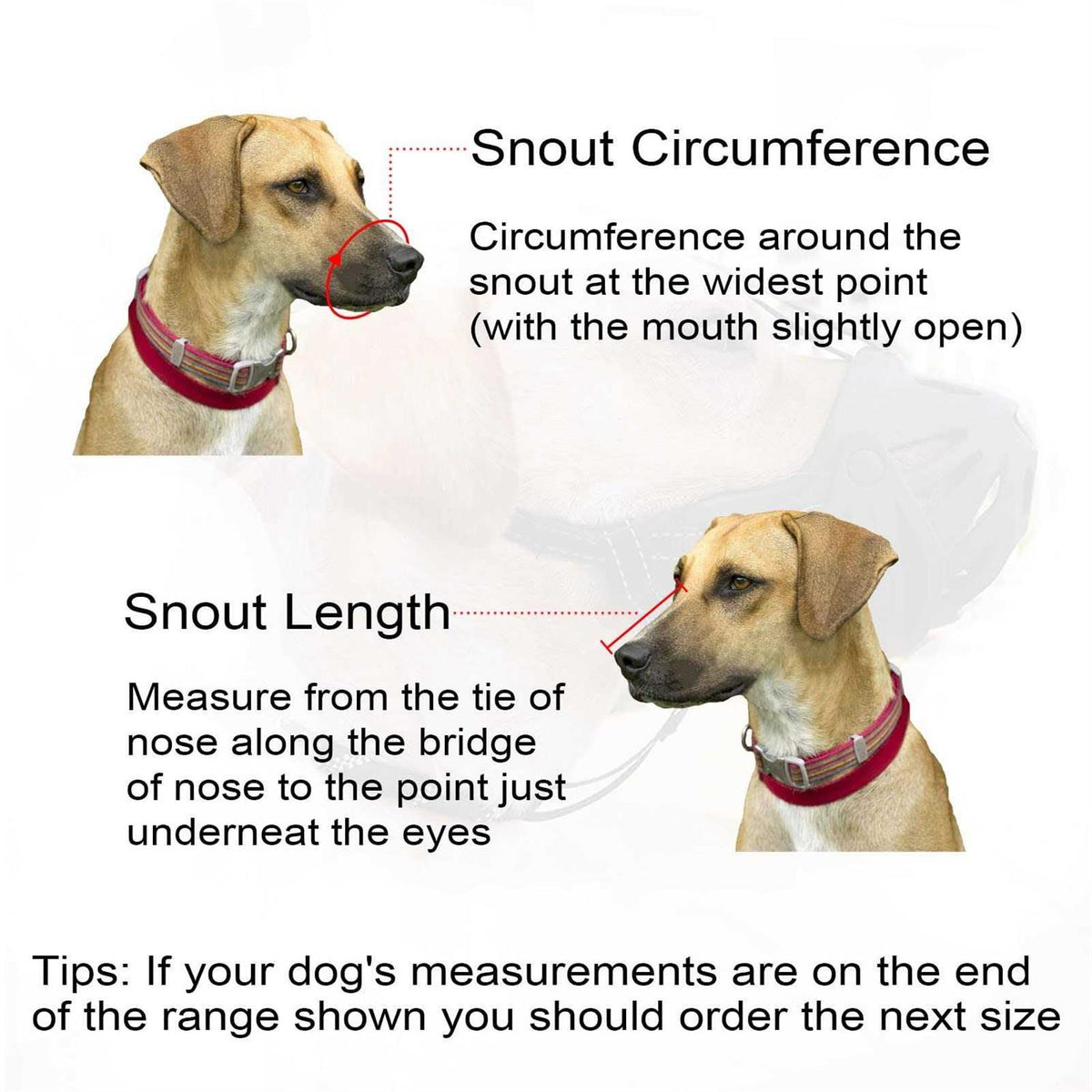 Adjustable Breathable Basket Dog Muzzle X5794