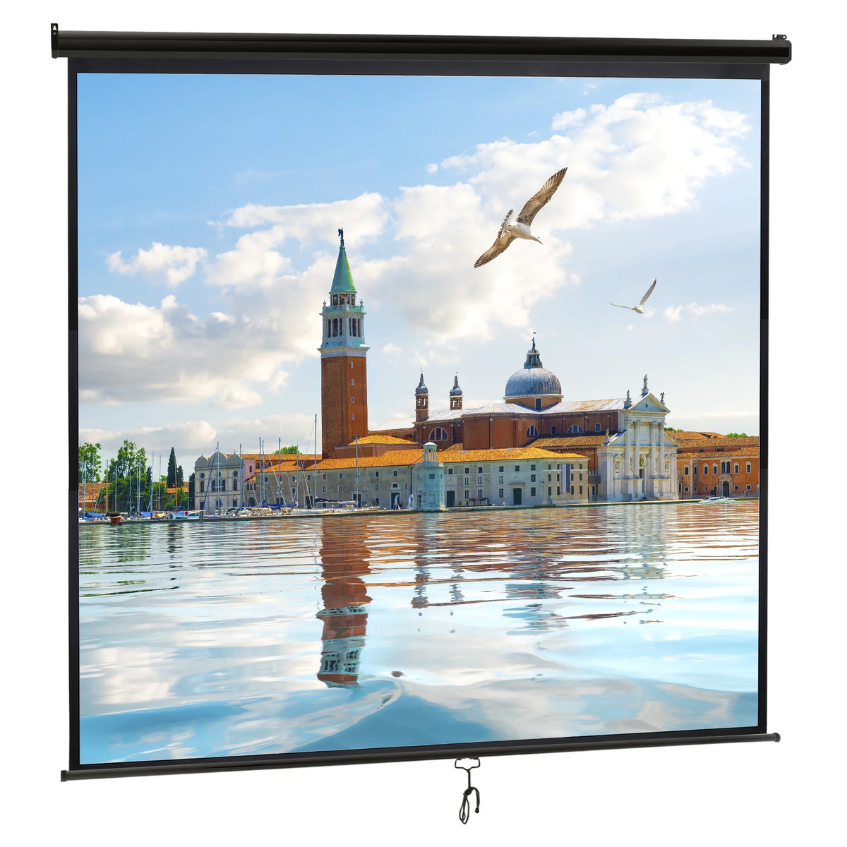 120 1:1 Manual Pull Down Projector Screen U12157