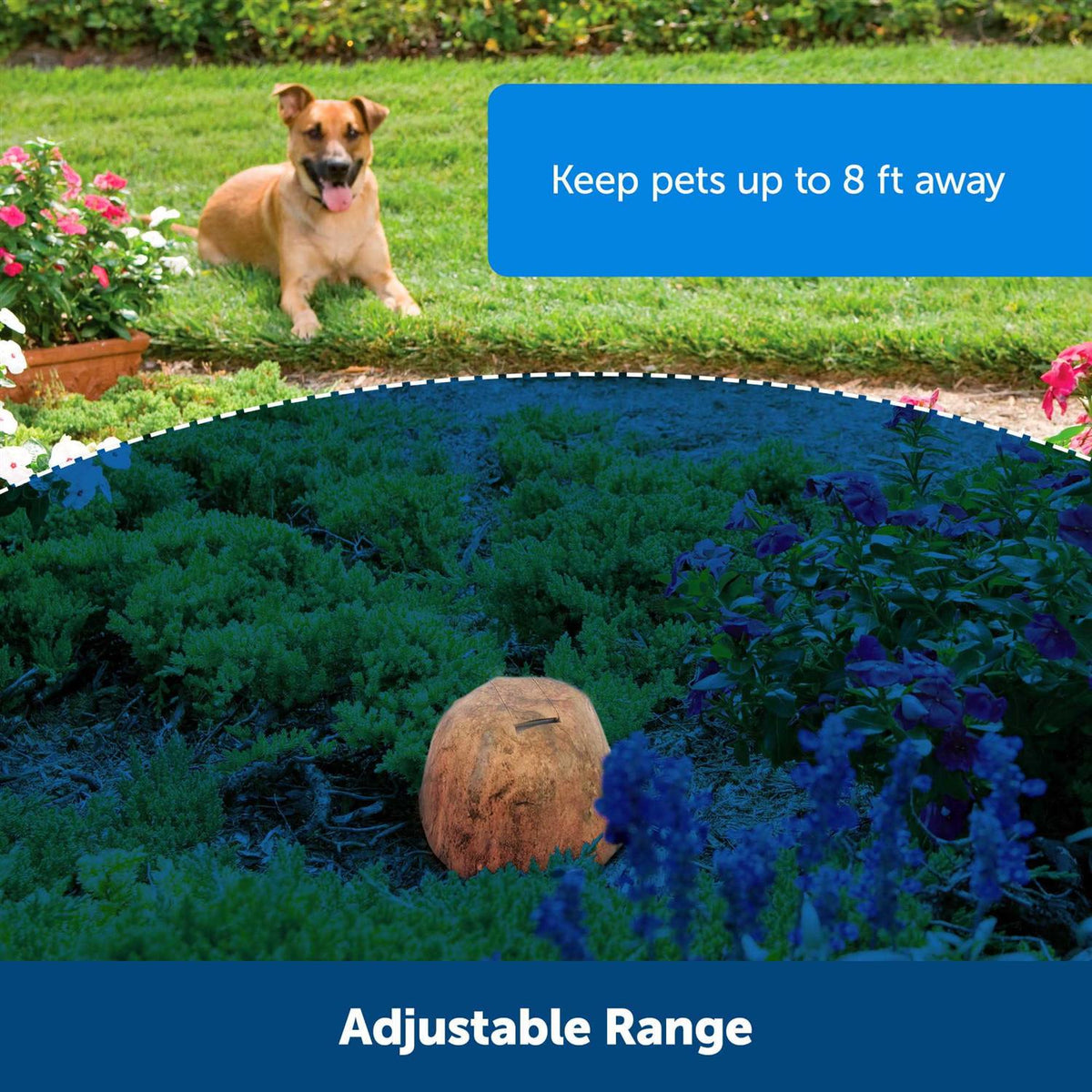 Outdoor Pet Barrier Y419936