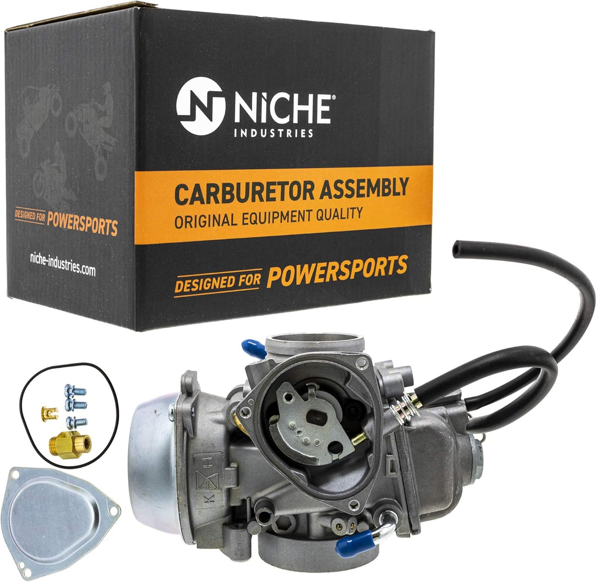 Carburetor and Fuel Pump Kit V1395