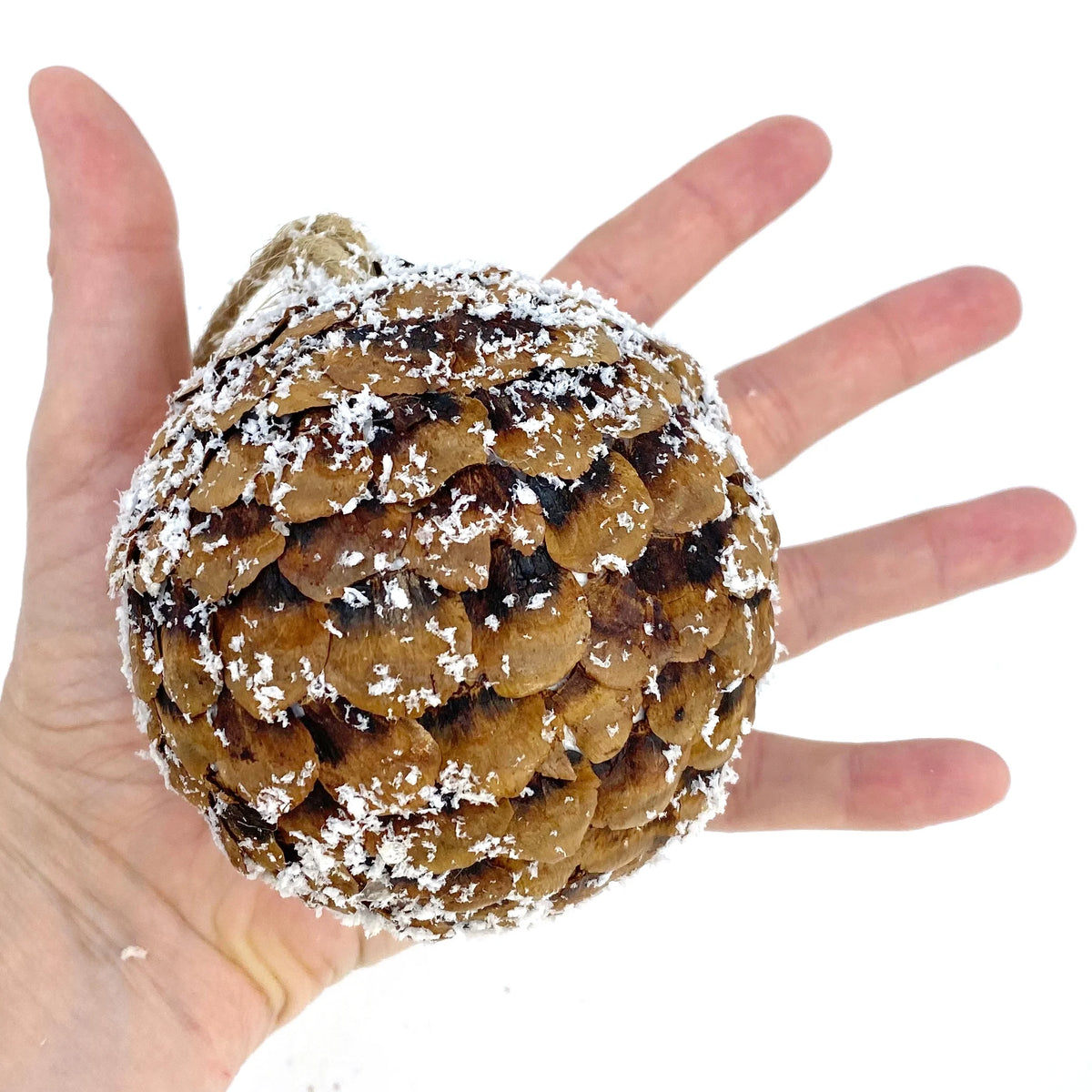 Pine Cone and Moss Ornaments Set of 4 Z954