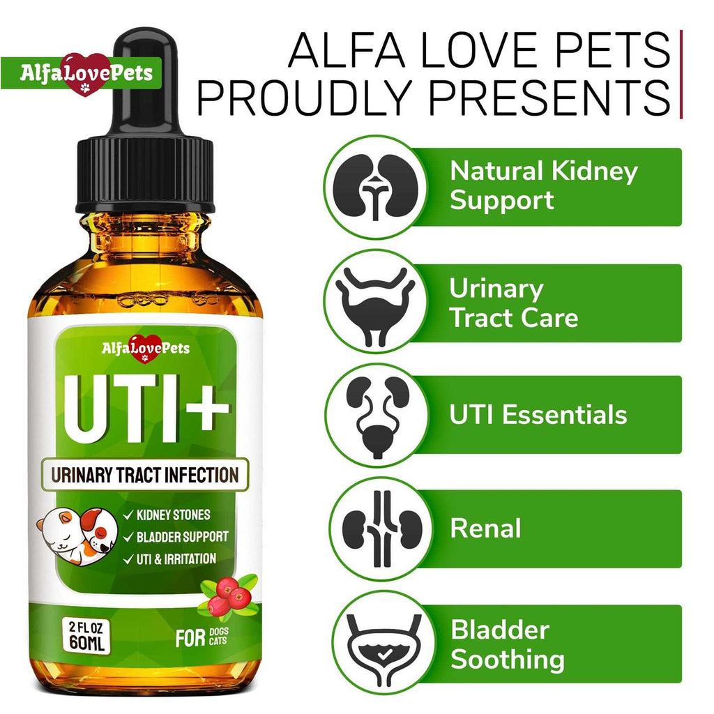 Natural Kidney Support for Dog Uti Cat Uti Canine Urinary Tract Care Wcranberry R626709