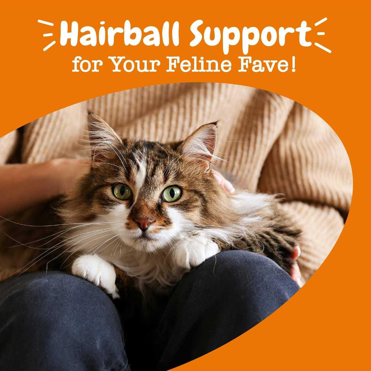 Hairball Bites for Cats I43420