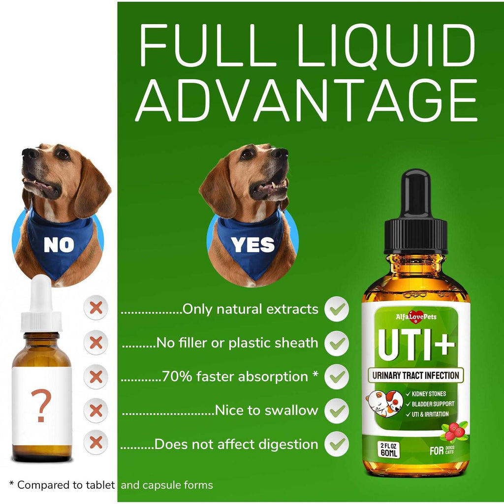 Natural Kidney Support for Dog Uti Cat Uti Canine Urinary Tract Care Wcranberry R626709