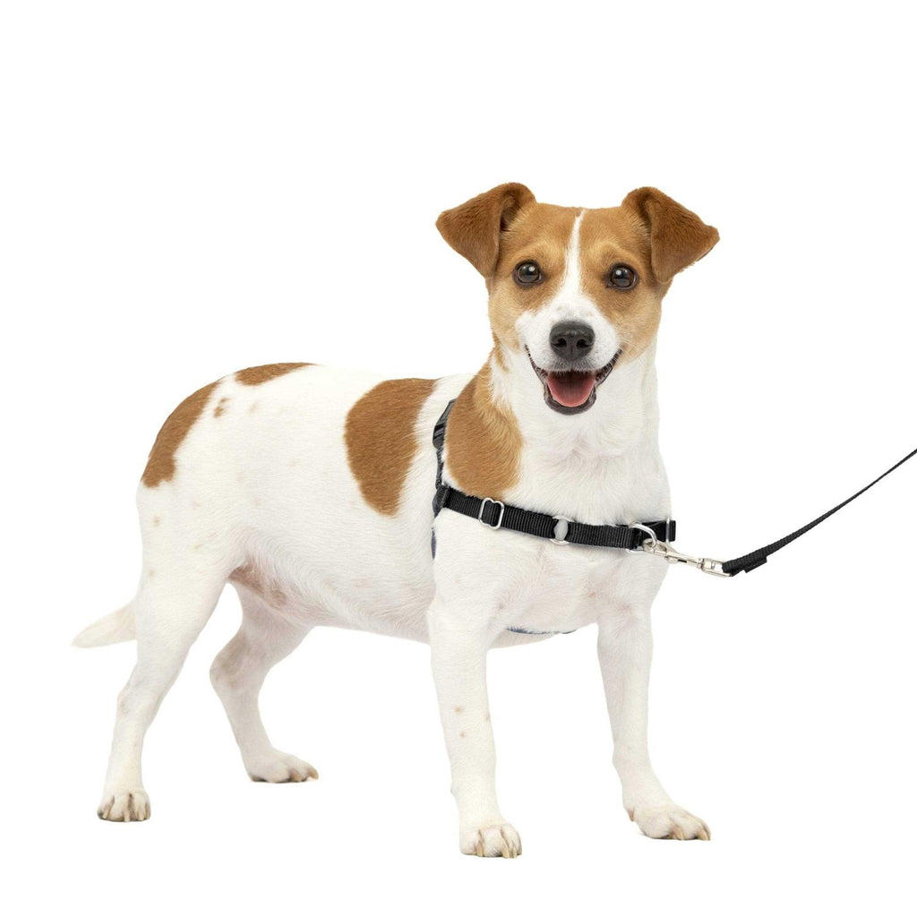 Easy Walk Dog Harness D685066