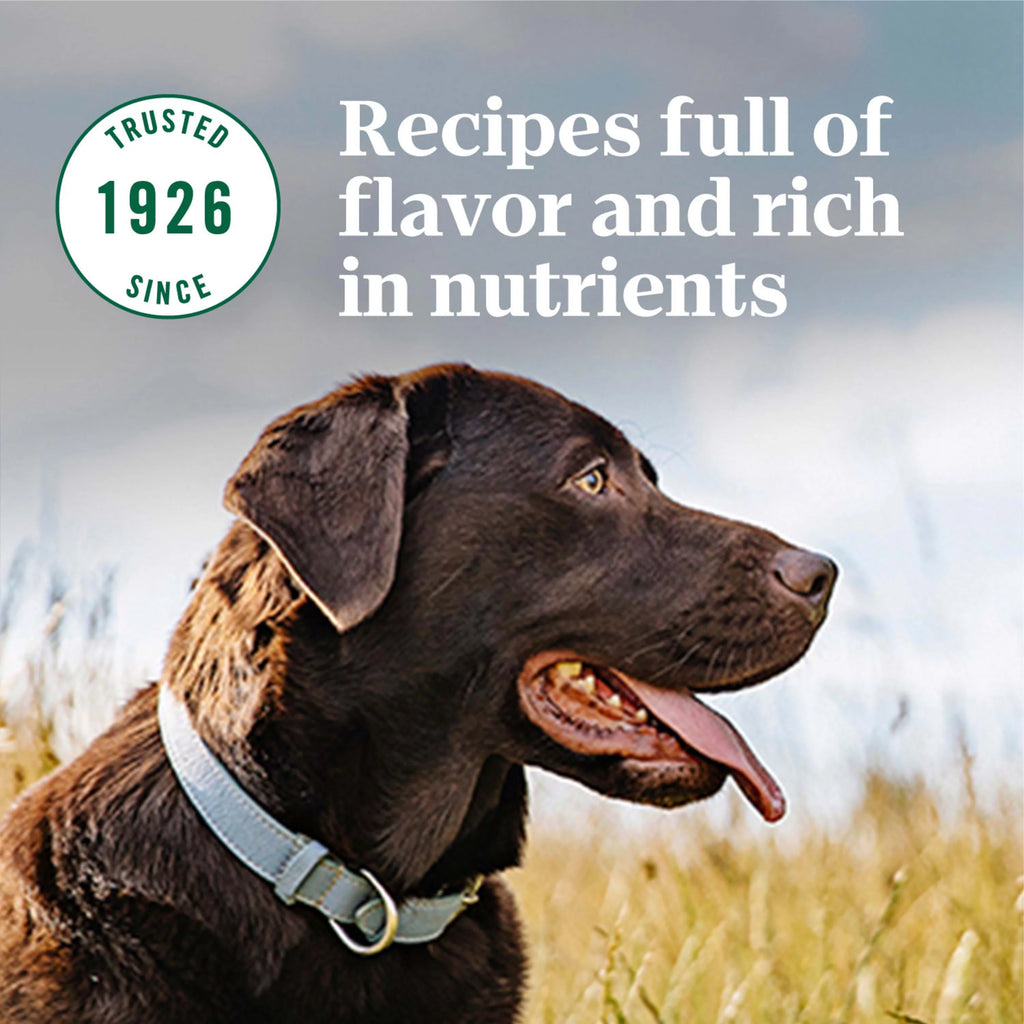 Lamb & Brown Rice Large Breed Adult Dry Dog Food 20 lb V520
