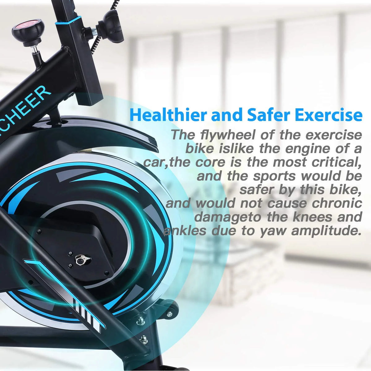 Indoor Exercise Bike with LCD Monitor and 330 lbs Weight Capacity R149