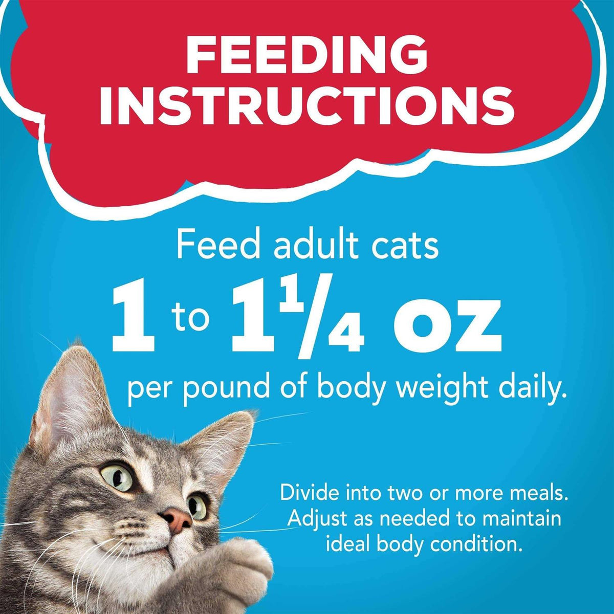 With Ocean Whitefish & Tuna in Sauce Wet Cat Food P89927