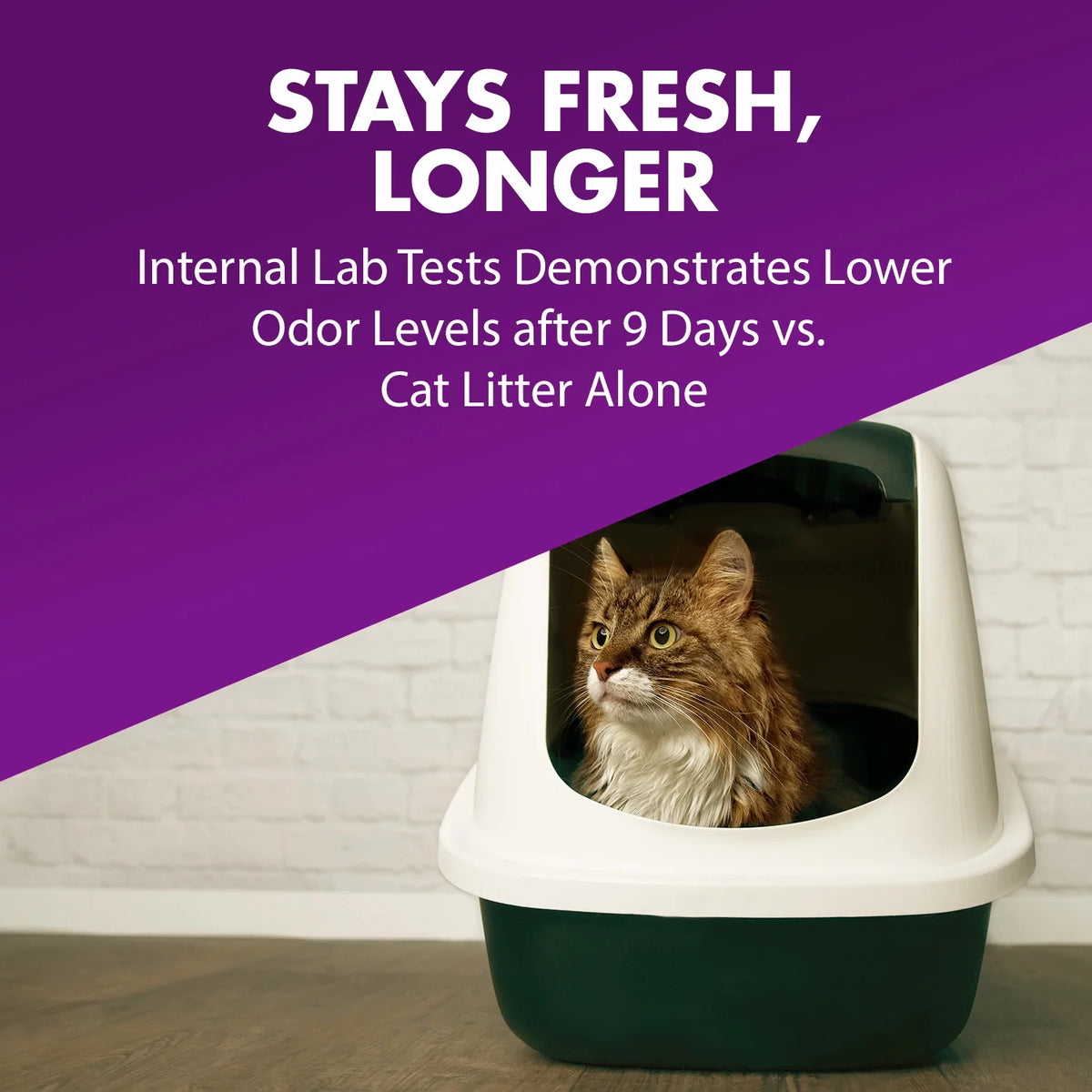 Cat Litter Deodorizer with Baking Soda, 30oz B6397