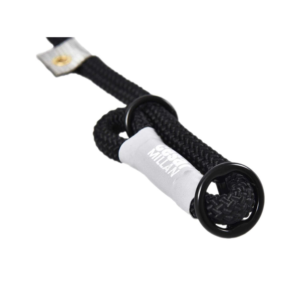2-in-1 Slip Collar Dog Training Lead & Collar V8163