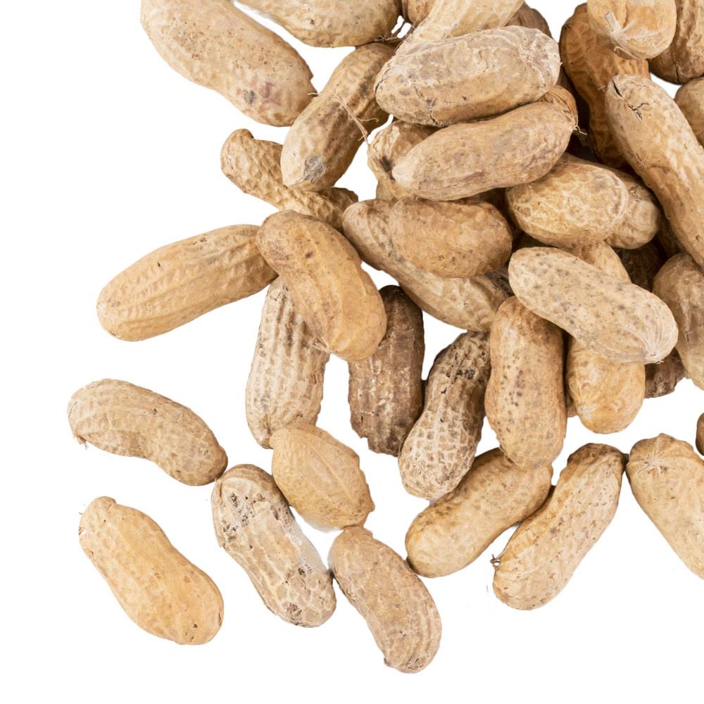25 lb. Roasted Unsalted In-Shell Peanuts K16578