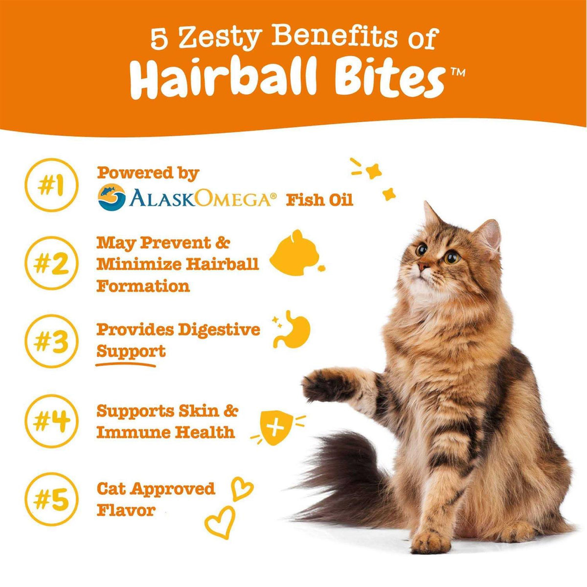 Hairball Bites for Cats I43420