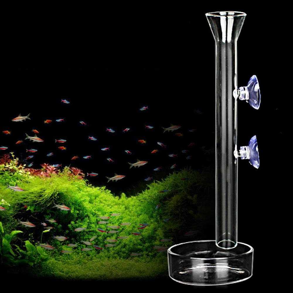 Aquarium Shrimp Feeding Tube and Dish Clear Crystal Glass O92028