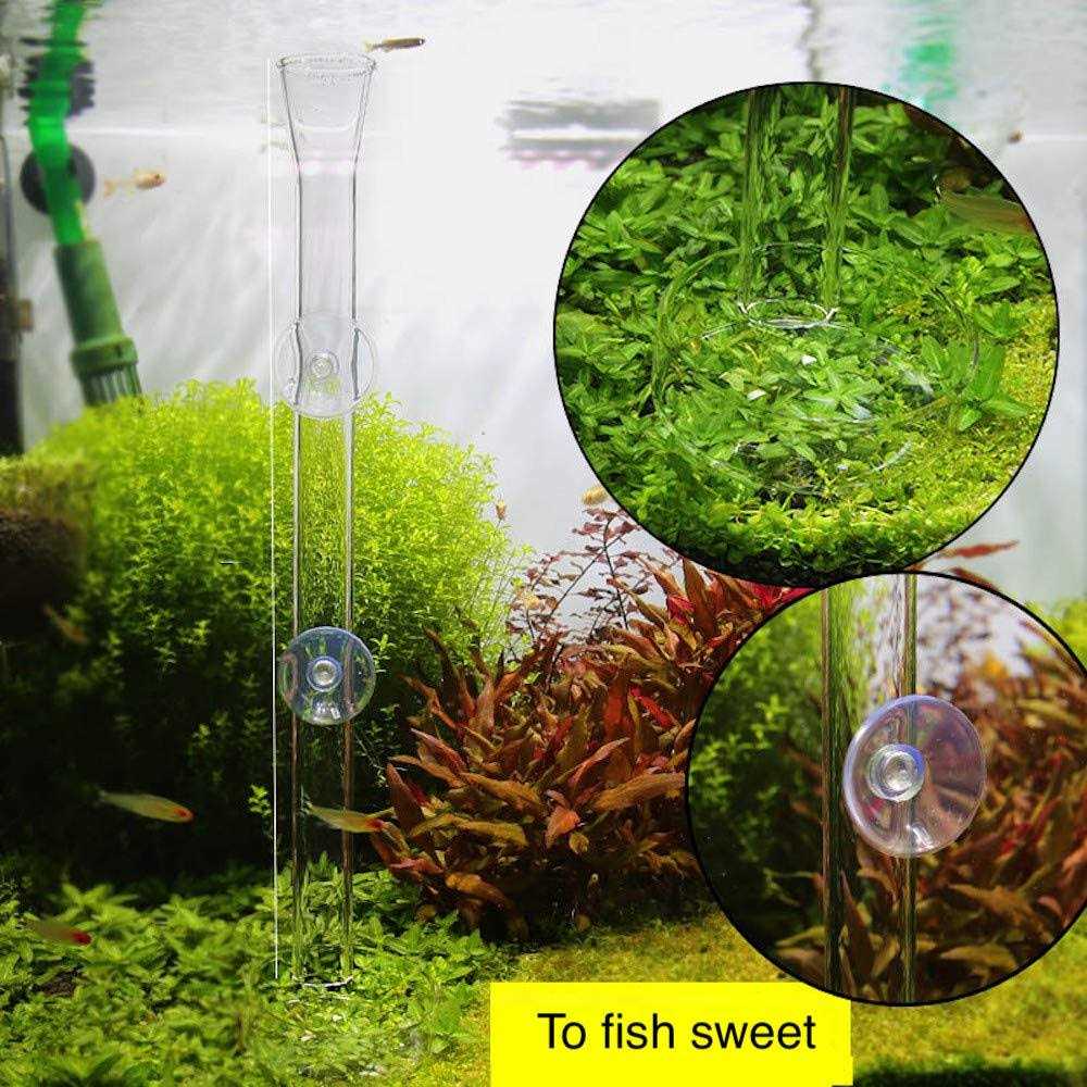 Aquarium Shrimp Feeding Tube and Dish Clear Crystal Glass O92028