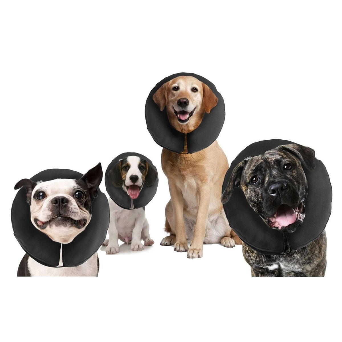 Inflatable Recovery Collar N448