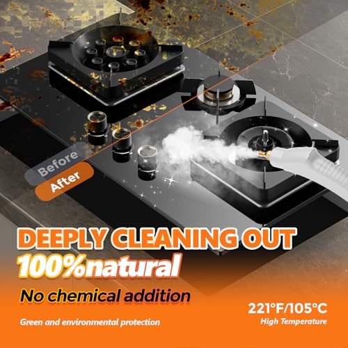 2500W Handheld Steam Cleaner with 1.1L Water Tank F223