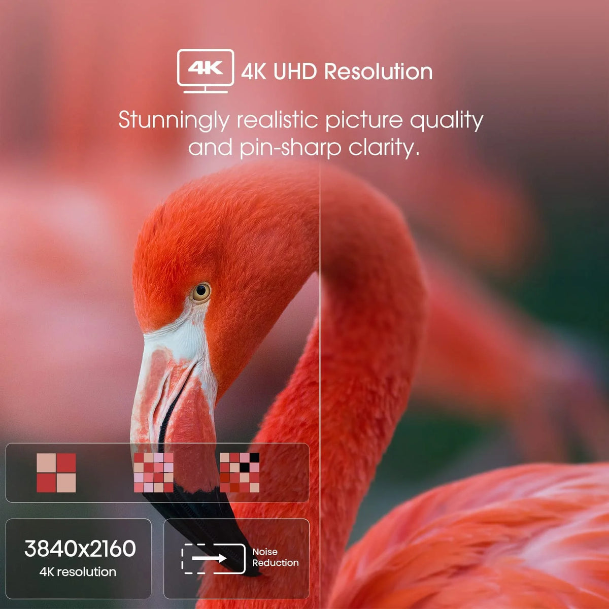 65-Inch 4K UHD Google Smart TV Z175