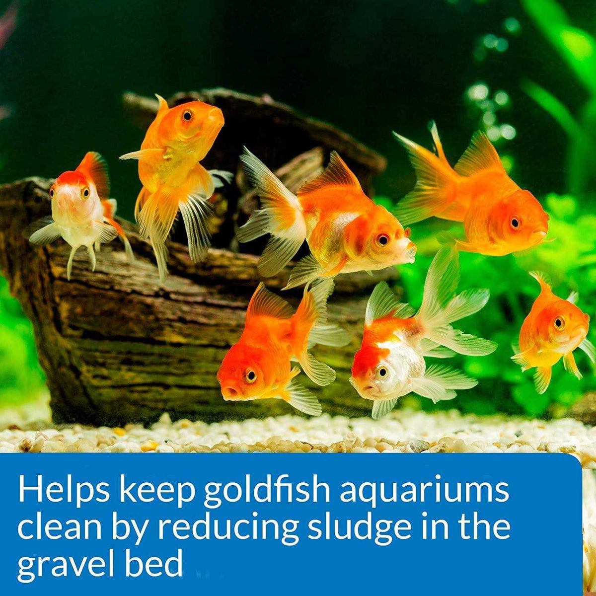 Goldfish Aquarium Cleaner L438