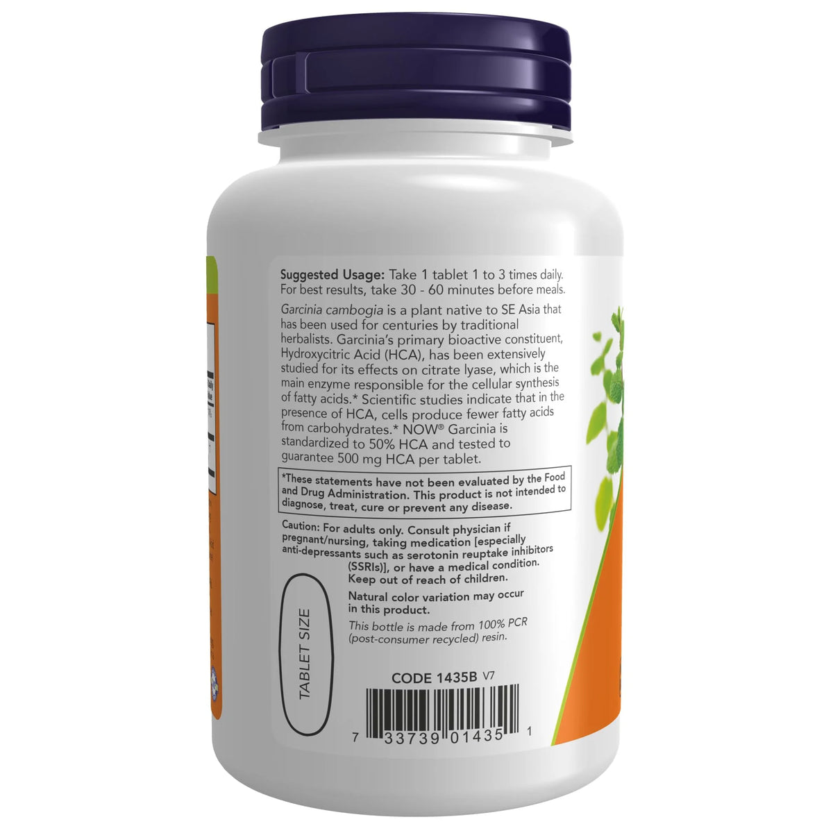 Garcinia 1,000 Mg 120 Tablets B173630