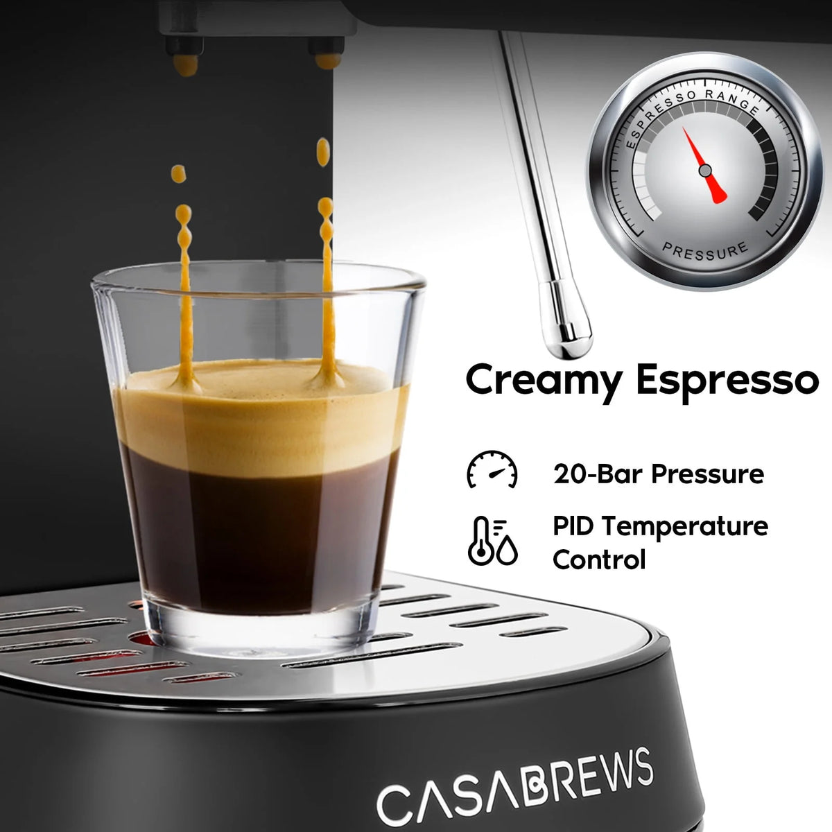 20 Bar Espresso Machine with Milk Frother Steam Wand, Stainless Steel Q7496