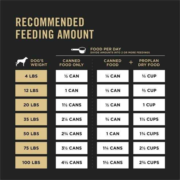 High Protein Wet Dog Food V307245
