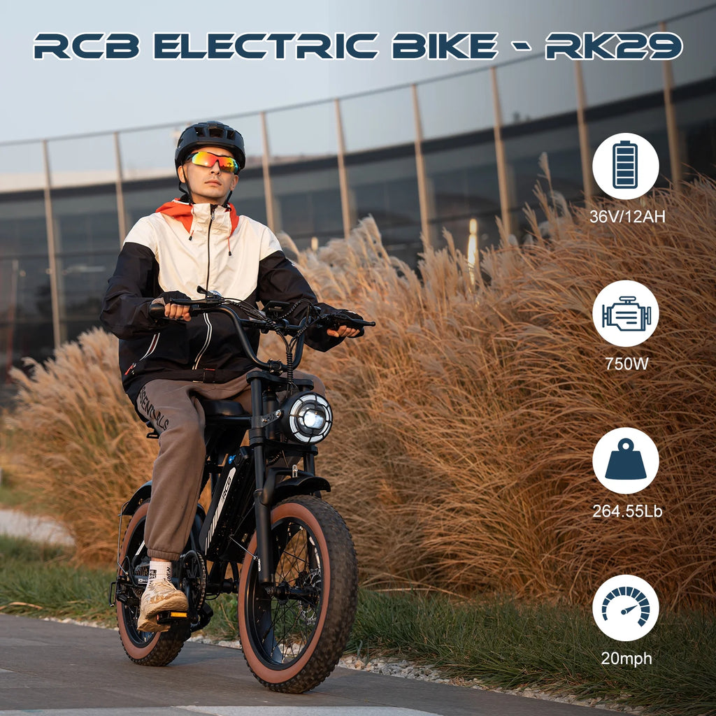 750W 48V 15Ah Electric Bike with 20 4.0 Fat Tire T476