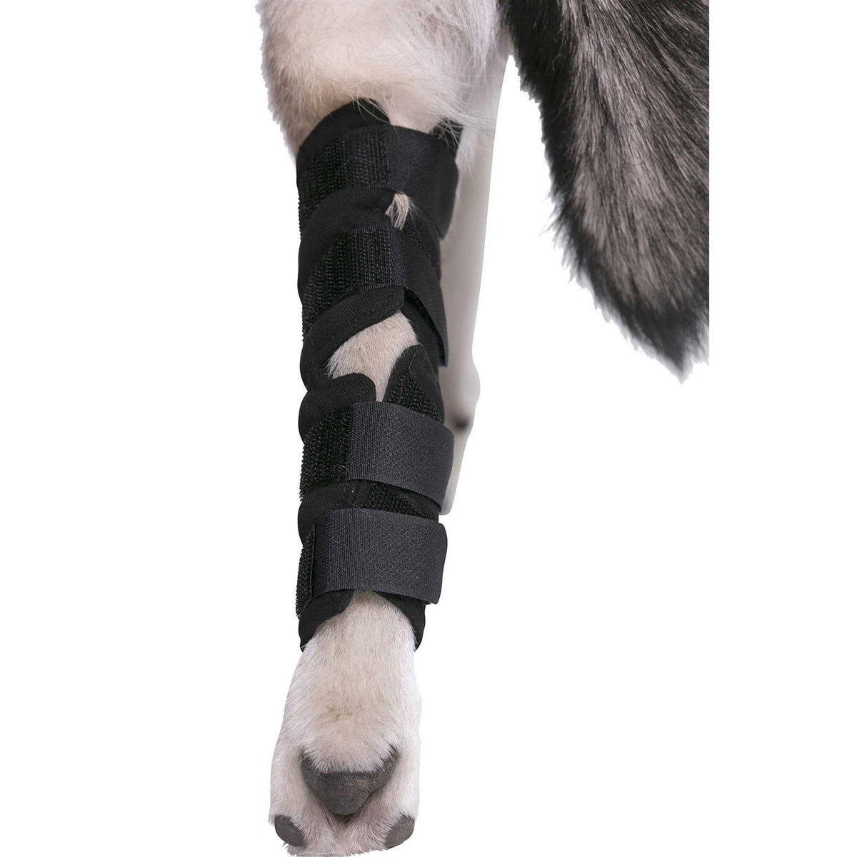 Dog Hock Brace Rear Leg Joint Wrap I17013