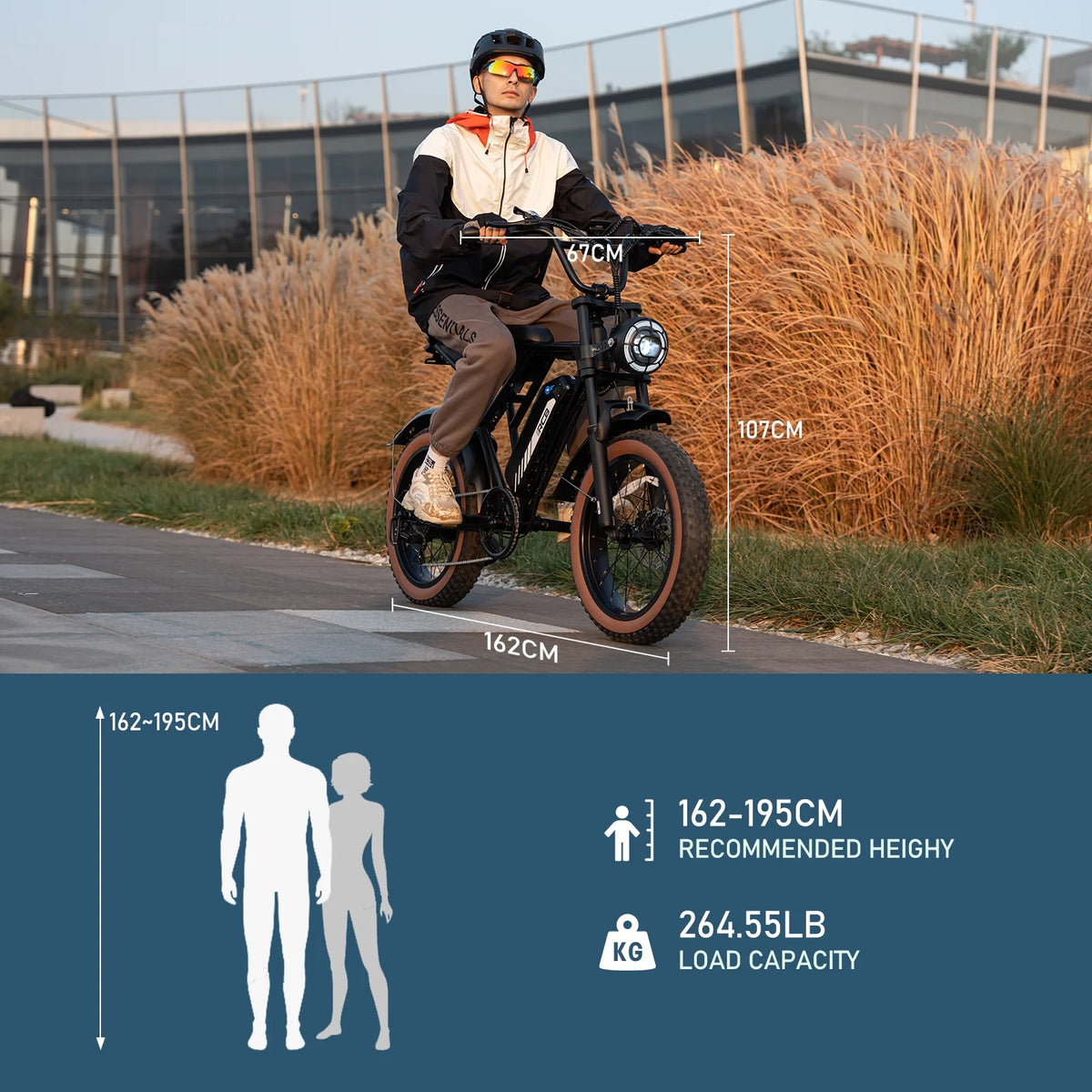 750W 48V 15Ah Electric Bike with 20 4.0 Fat Tire T476
