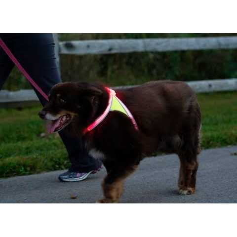 LED Reflective Dog Harness K78192