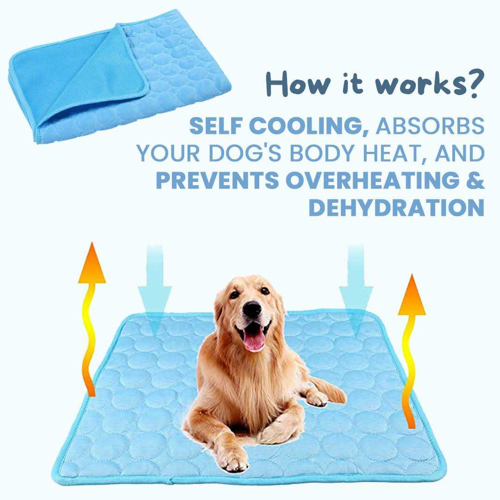 Dog Cooling Mat E681