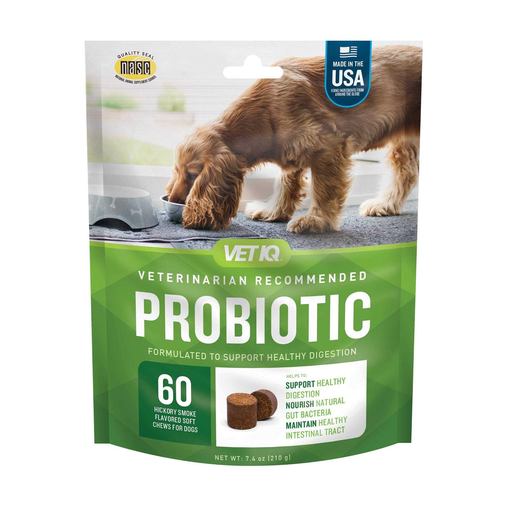 Probiotic Soft Chew Supplement for Dogs K84953