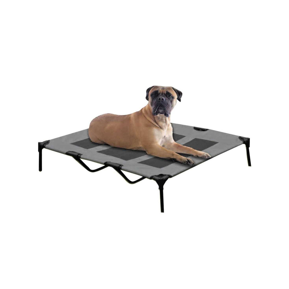 Cot Dog Bed Y171151