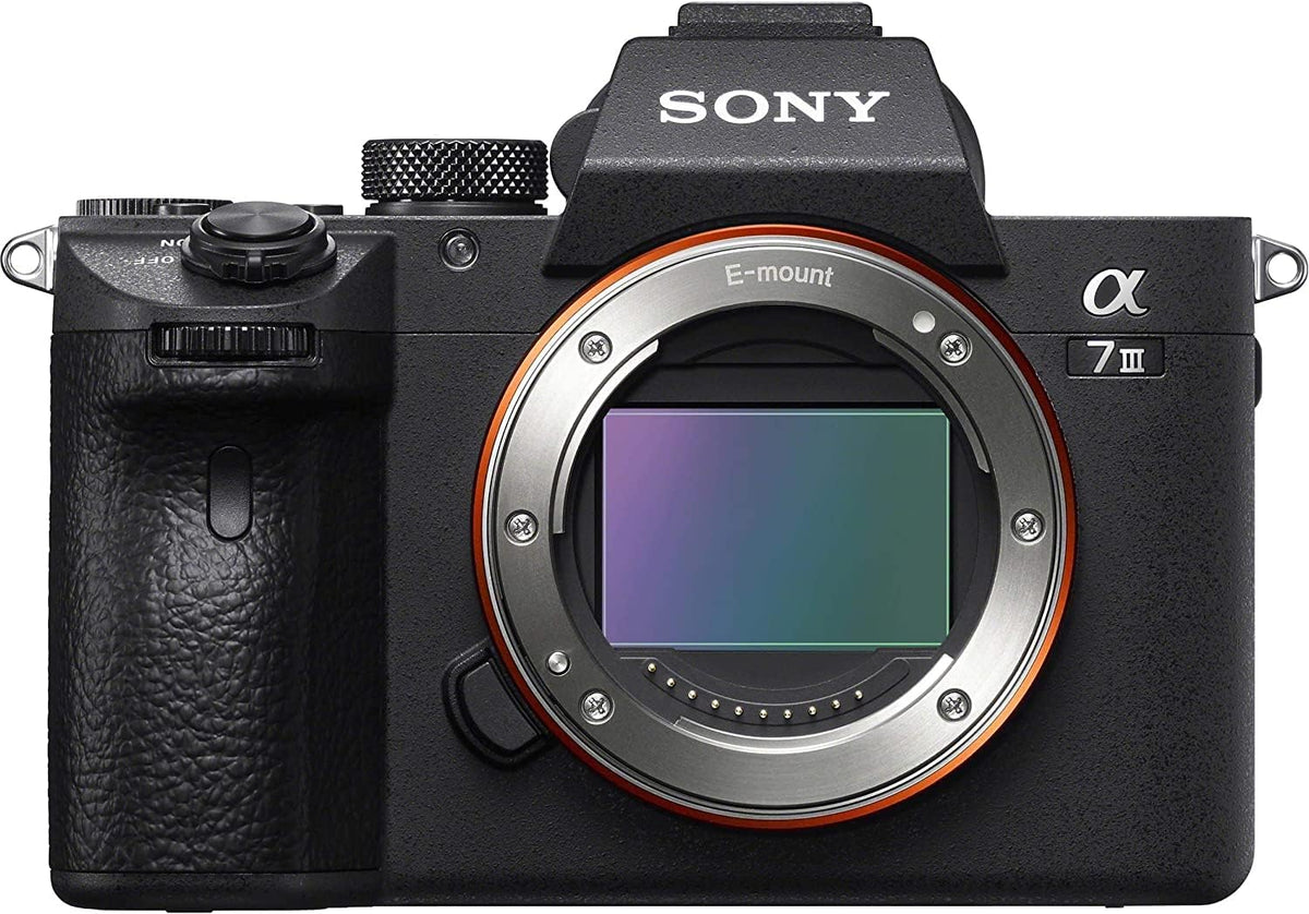 Mirrorless Digital Camera Body Only V83768