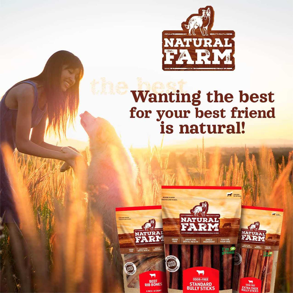 Beef Trachea Dog Chews Y598