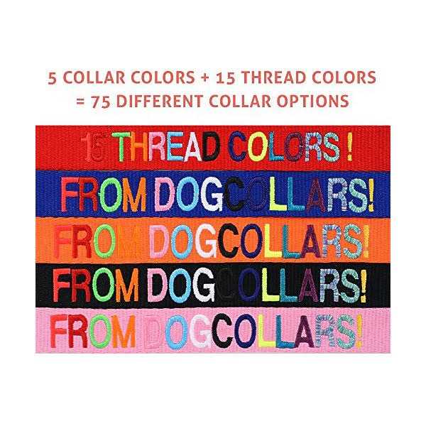 Personalized Dog Collar N641809