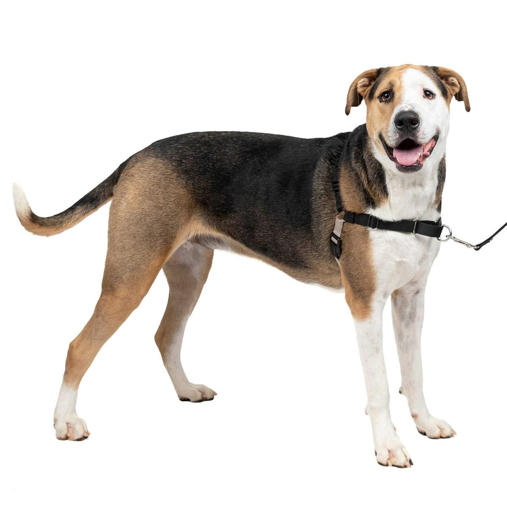 Easy Walk Dog Harness D685066