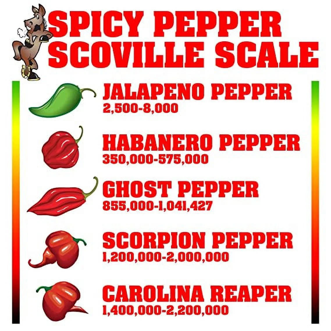Dehydrated Scorpion Reaper Pepper Jar 1.2lb D16469