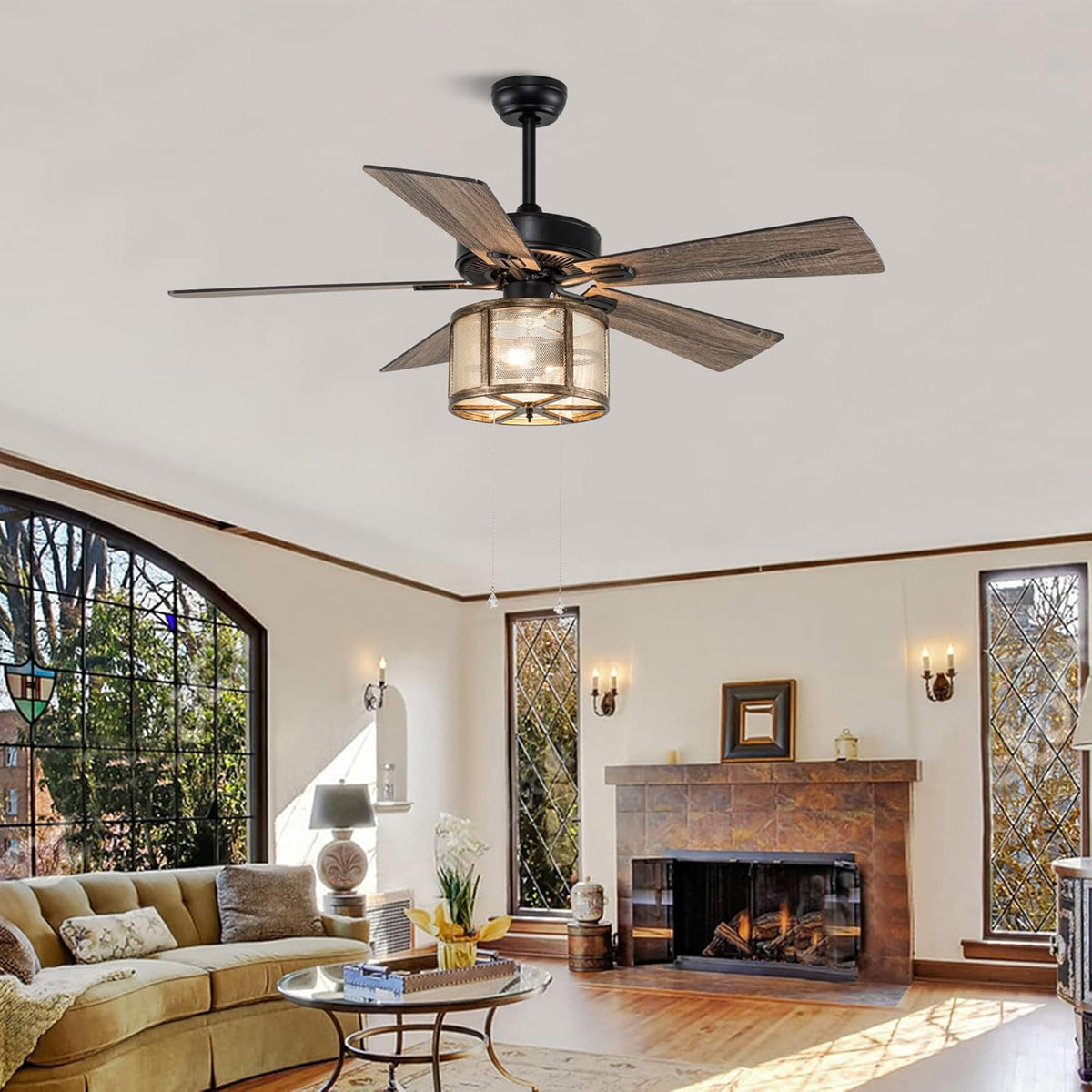 Matte Black Caged Ceiling Fan with Lights Remote Control V952