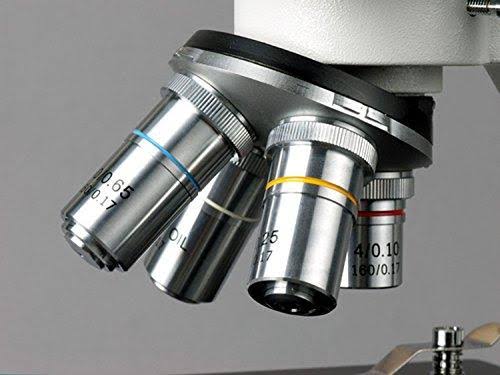 White Binocular Biological Microscope 40X-2500X with Slide Preparation Kit W400757