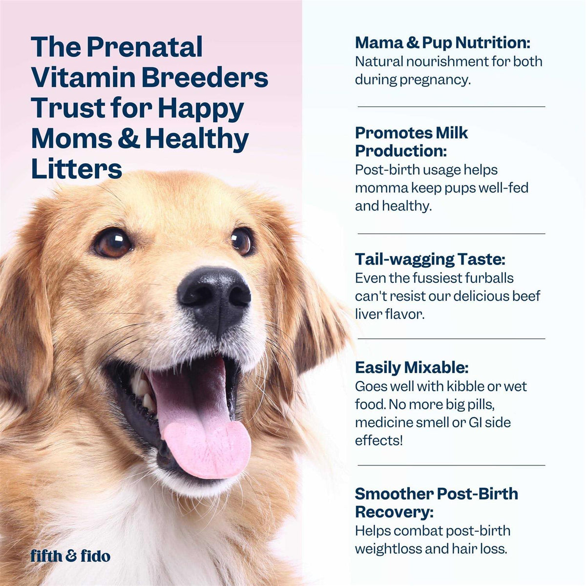 Dog Prenatal Vitamins with Iron, D3 and Folic Acid H947938