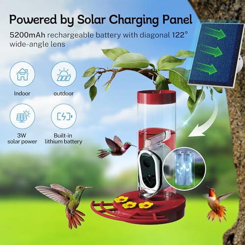 Smart Hummingbird Feeder with Camera Solar-Powered, AI Identify, Cloud Storage, HD Video (20 Ounces) Y81098