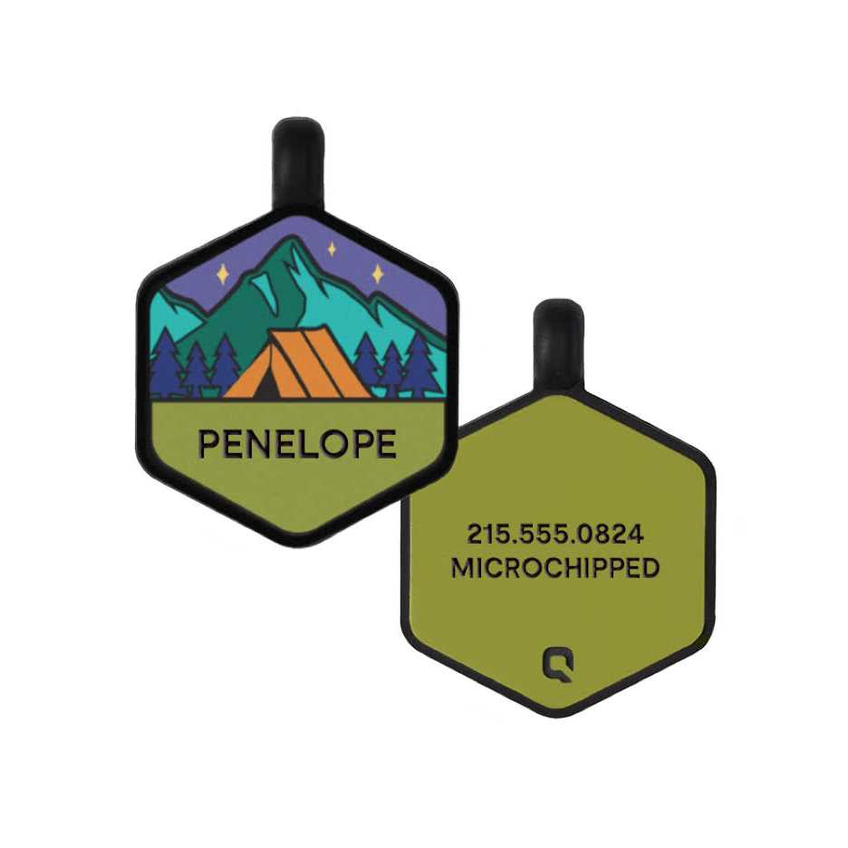 Silicone Dog ID Tag A4654