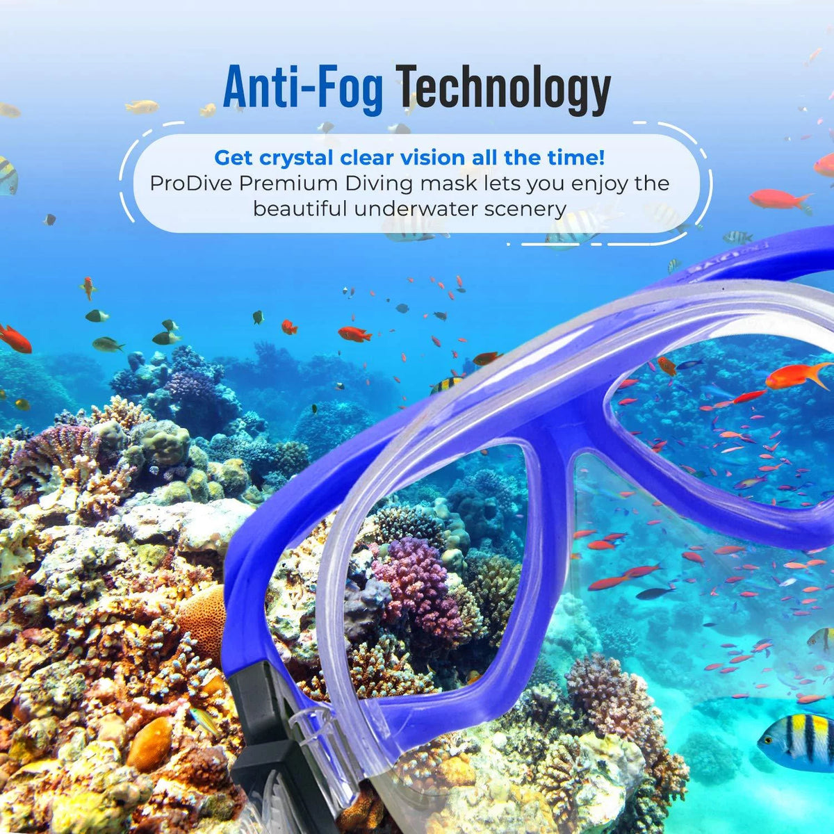 Tempered Glass Anti-Fog Snorkel Mask Set with Gear Bag R14780